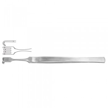 Cottle Alar Hook 4 Semi Sharp Prongs Stainless Steel